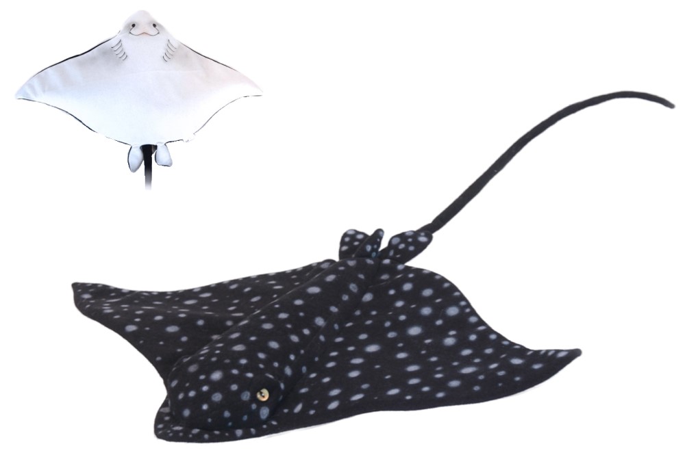 Spotted Eagle Ray 53cmL