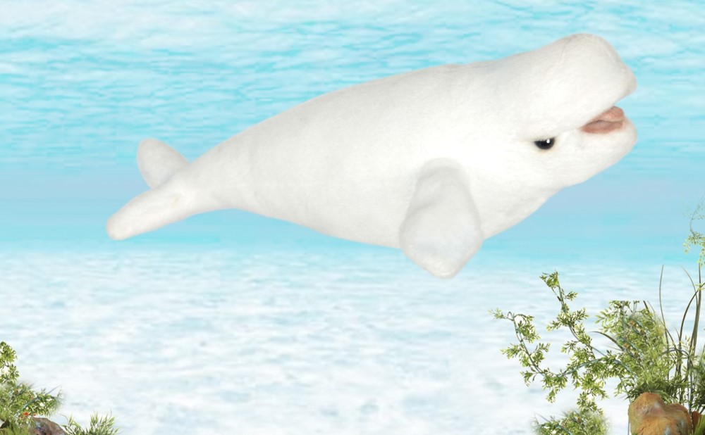 Whale Beluga 25cmL