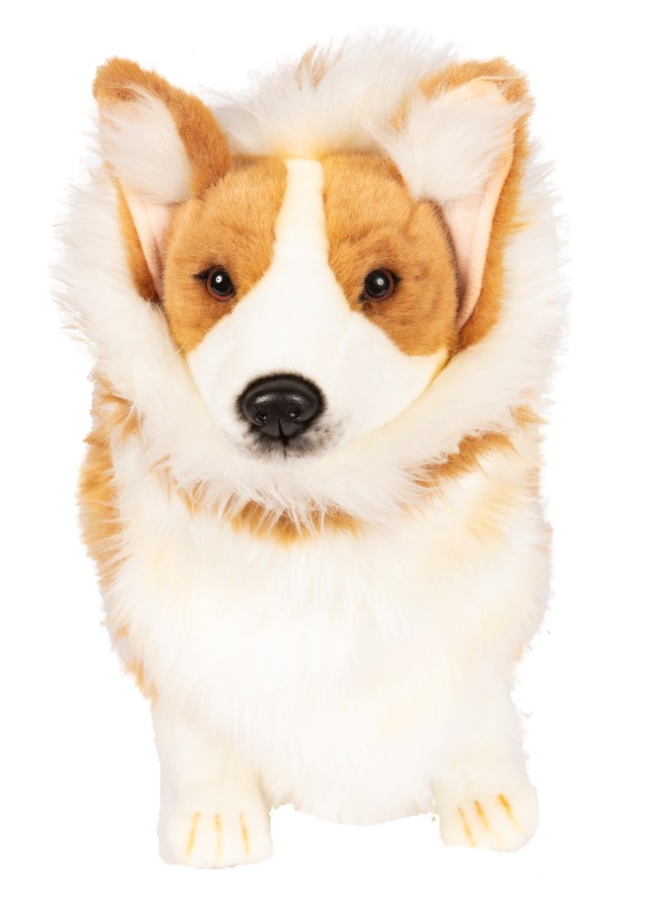 Welsh Corgi 50cmL