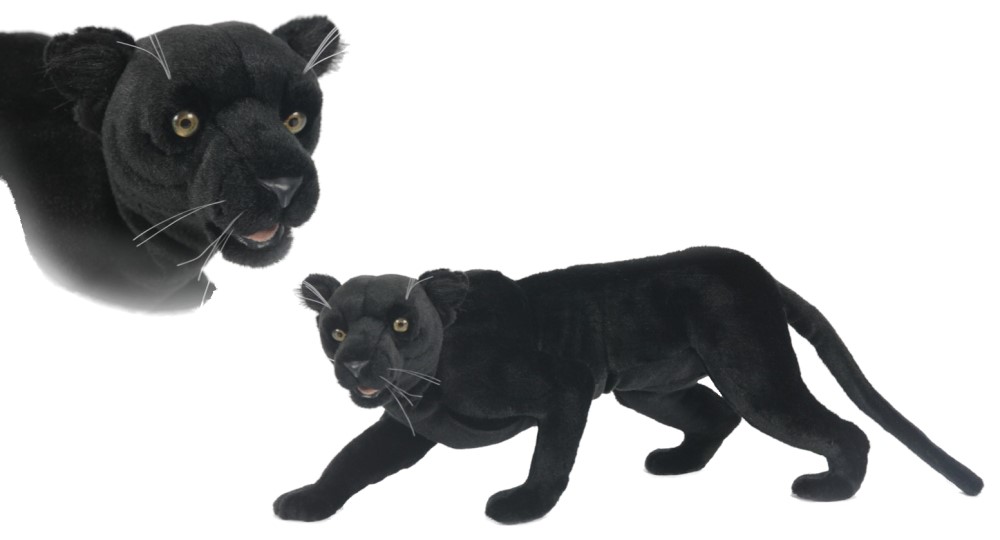 Jaguar Crawling 65cmL