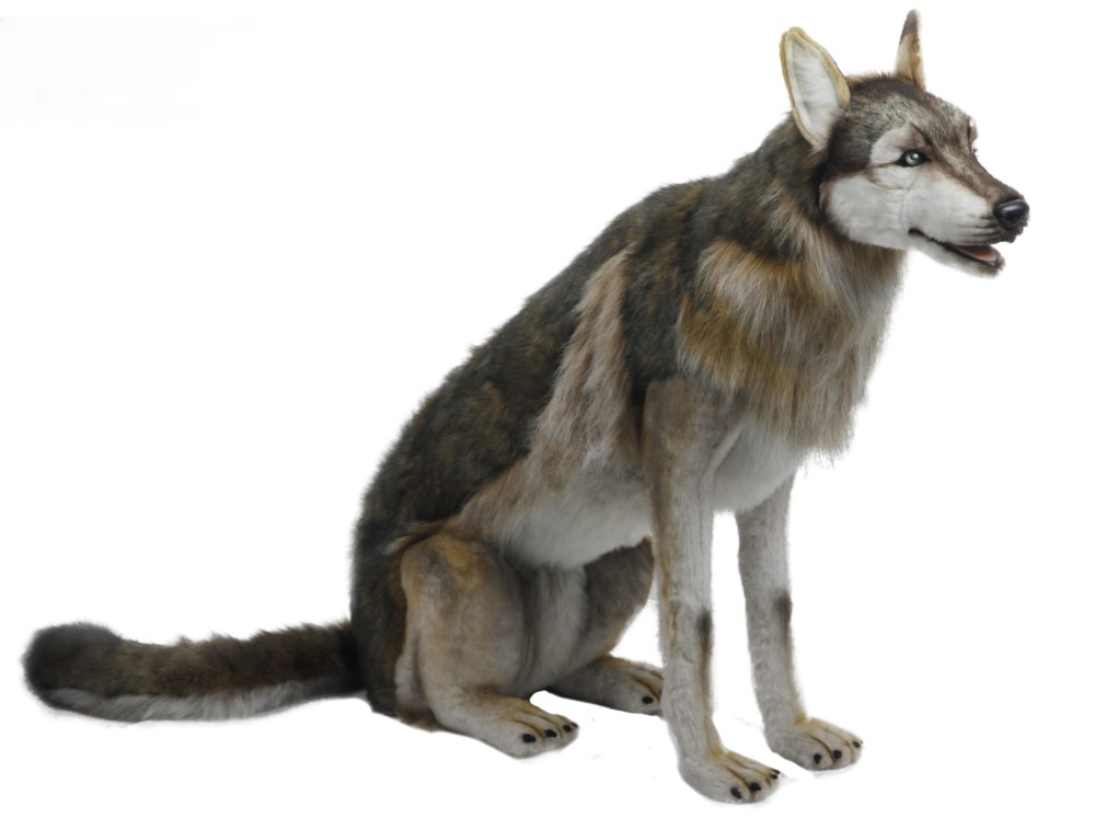 Wolf Sitting 80cmH