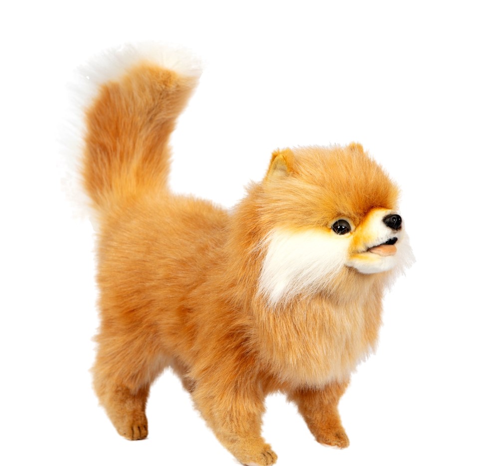 Pomeranian Dog 28cmH