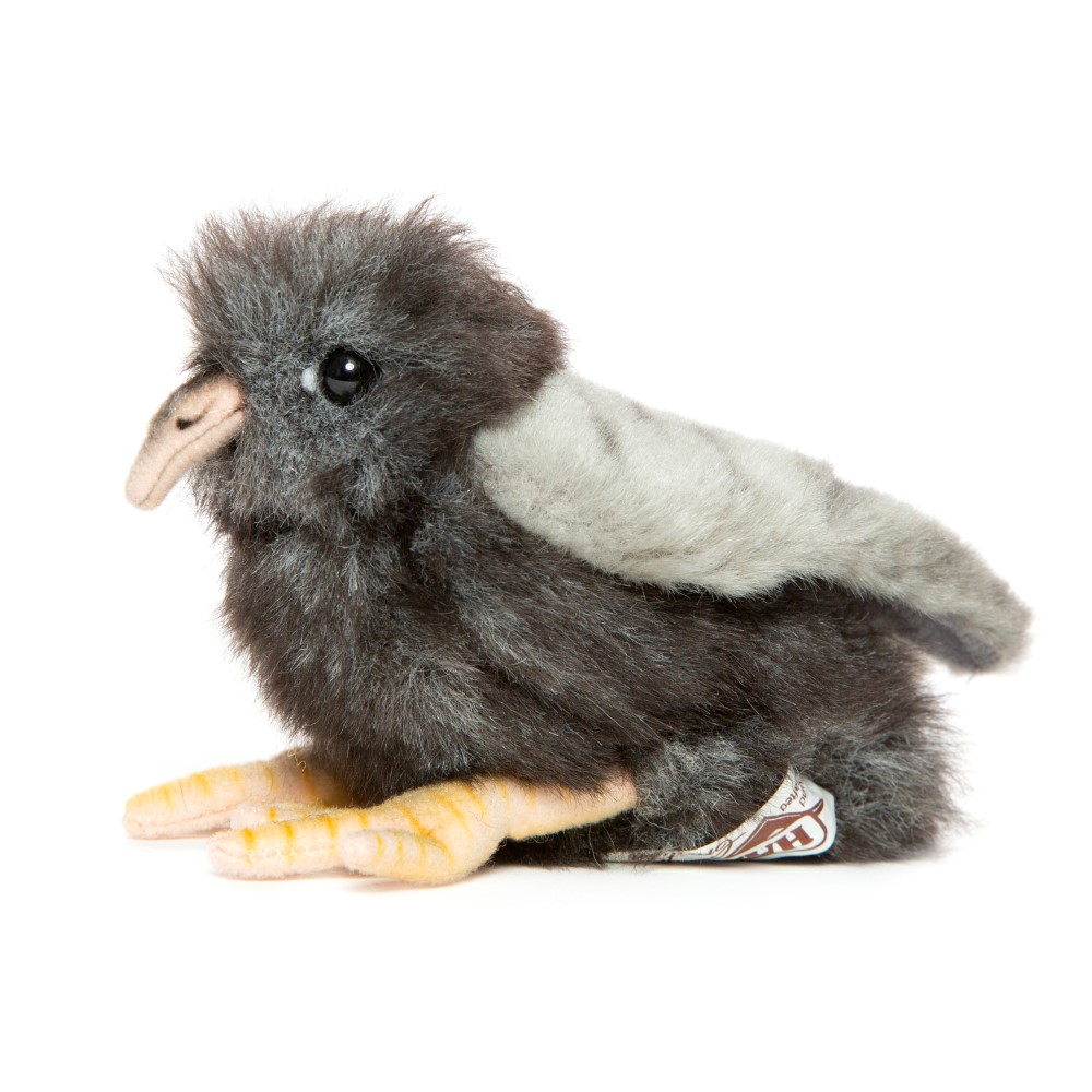 Pigeon Chick 15cmH