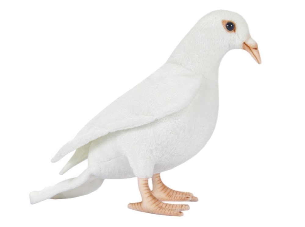 White Pigeon  29cmL