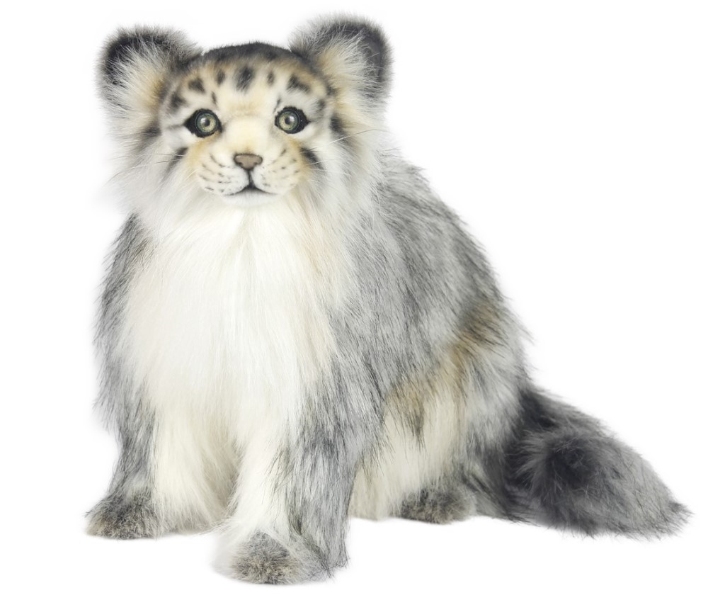 Pallas Cat Sitting 42cmH