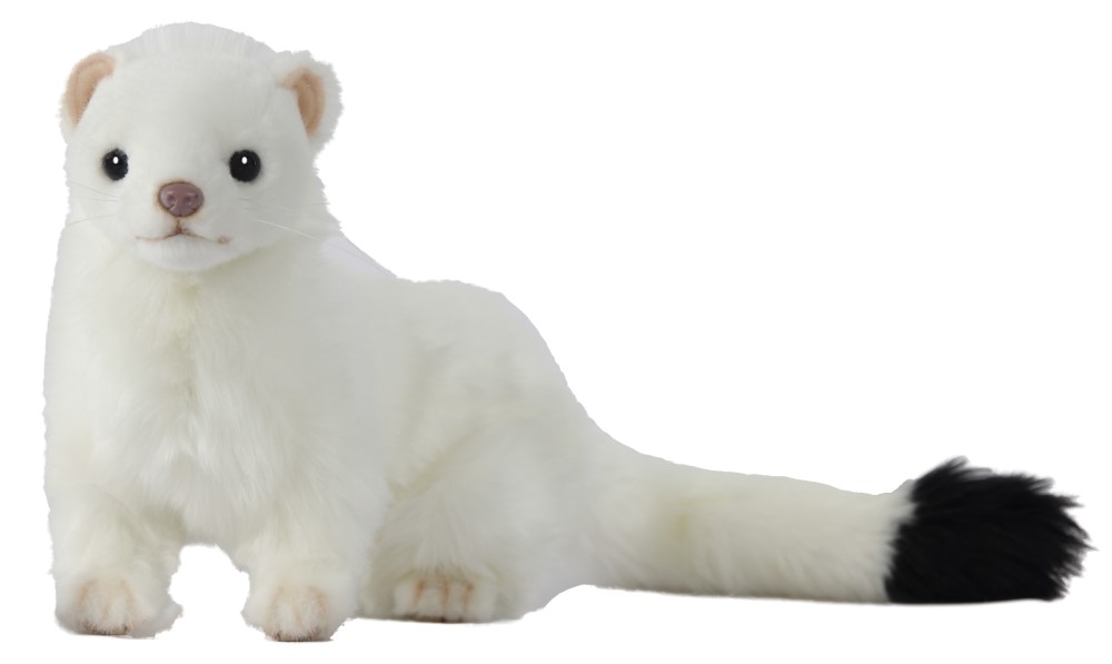 Ferret White Standing 48cmL