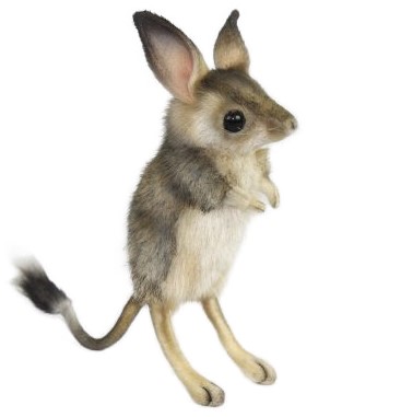 Jerboa 19cmH