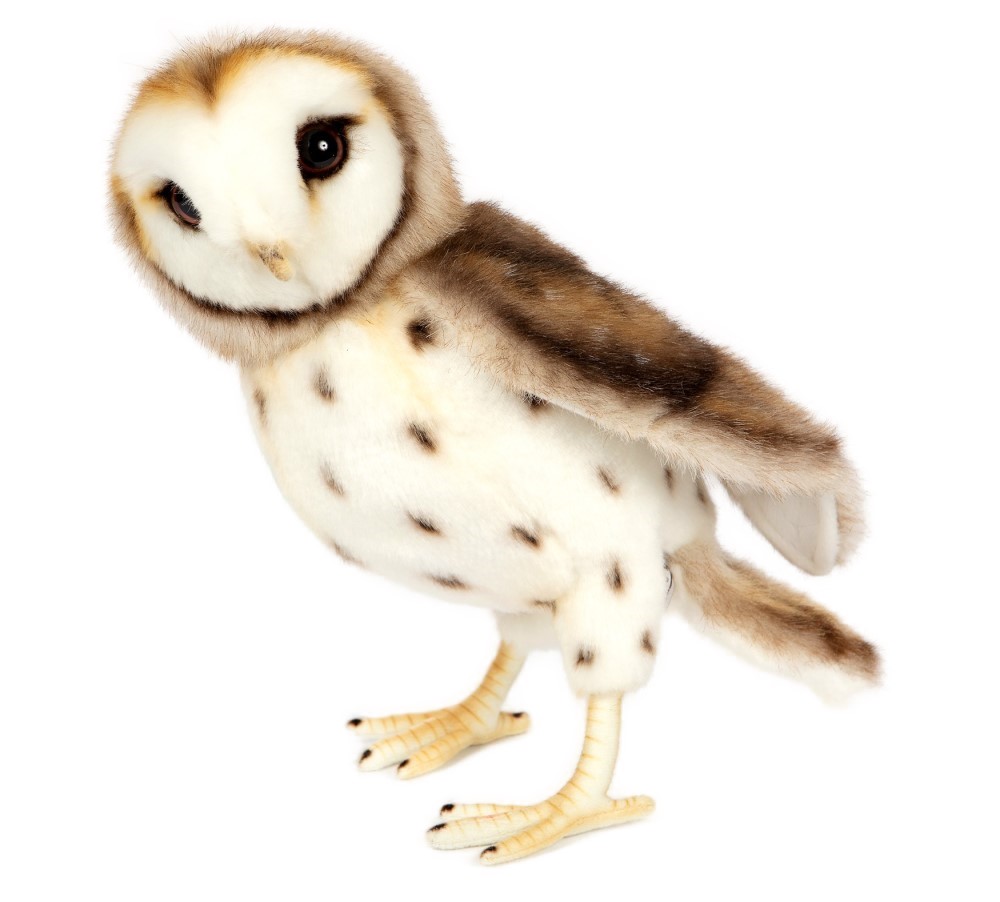Barn Owl (Movable head) 27cmH