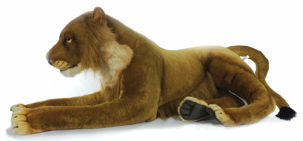 Lioness Laying 55cmH