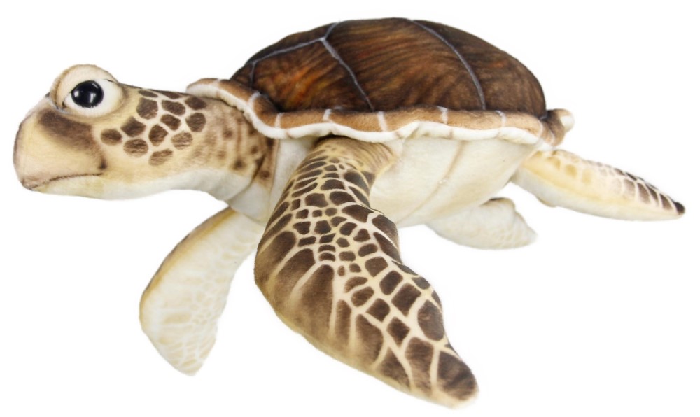 Sea Turtle 63cmW