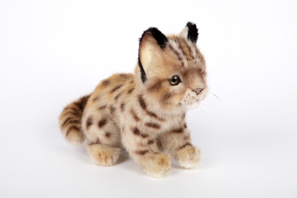 Leopard Cat Shihu Cub 22cmL