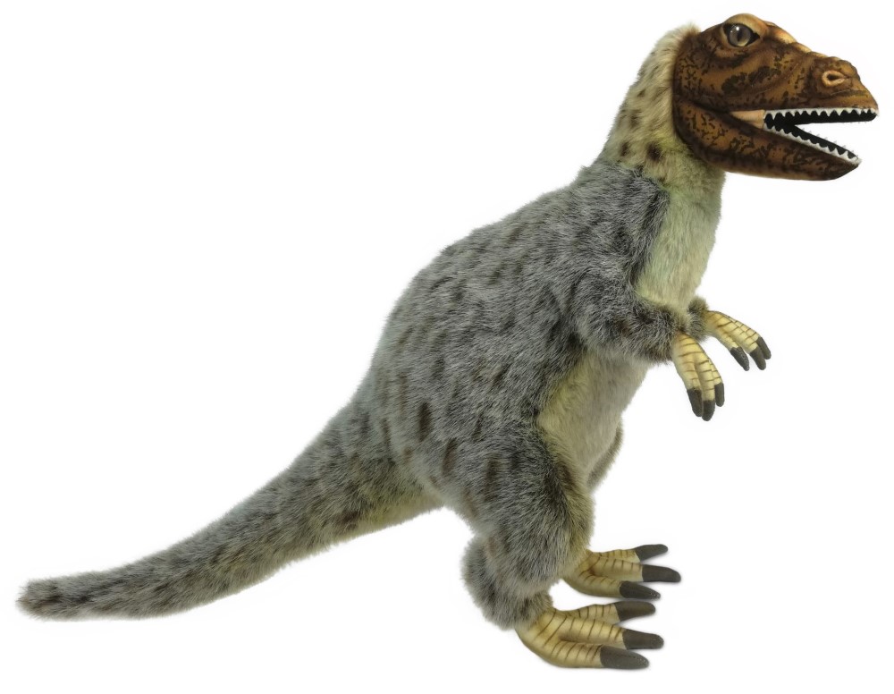 Yutyrannus 65cmL