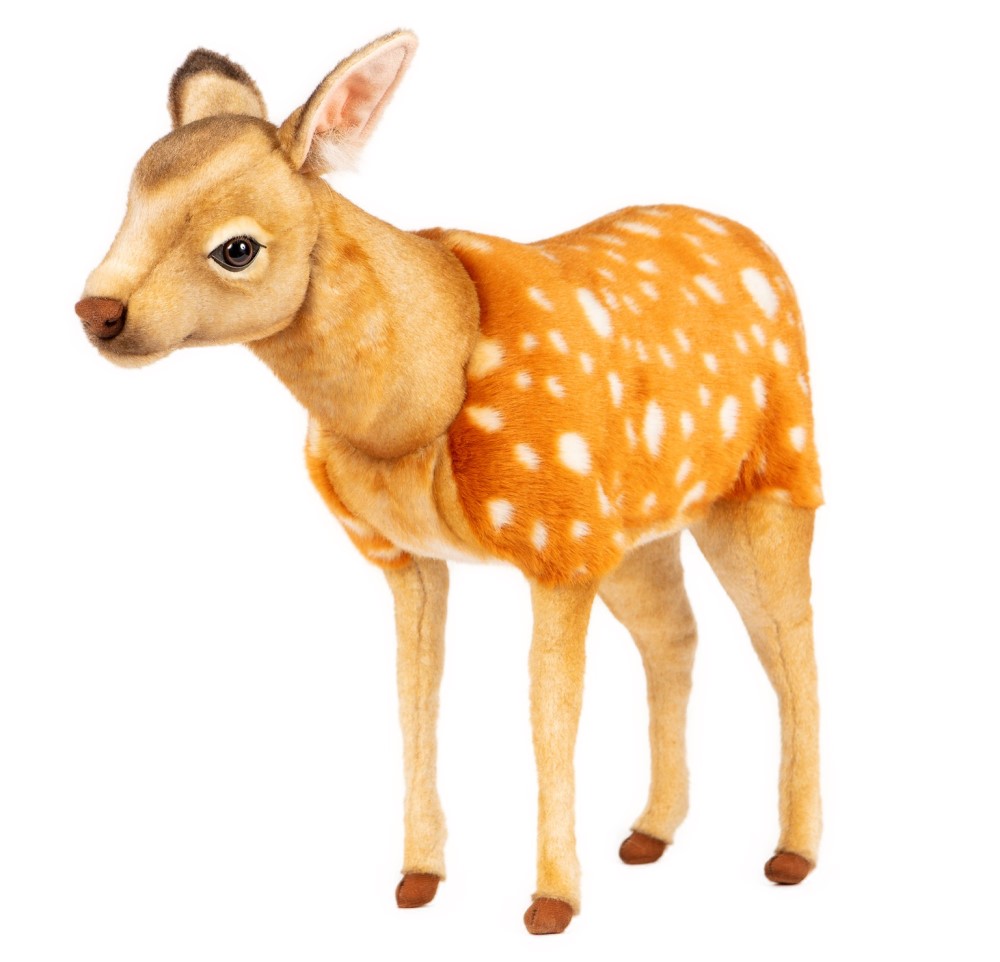 Sika Deer Fawn Standing 55cmL