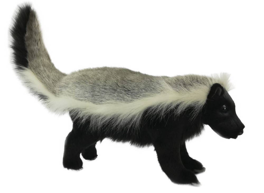 Honey Badger 50cmL