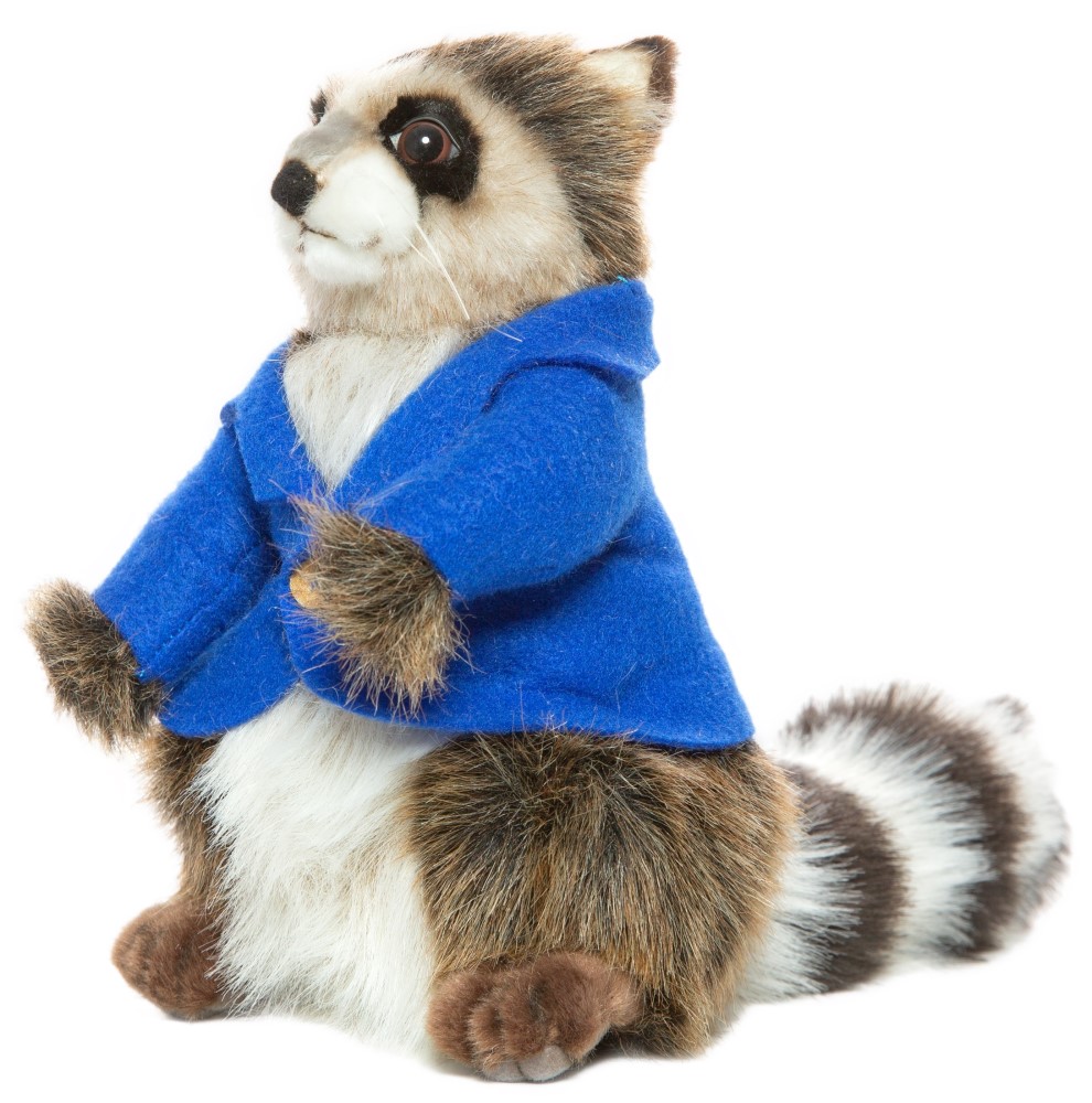 Raccoon Boy (Accessories may vary) 23cmH
