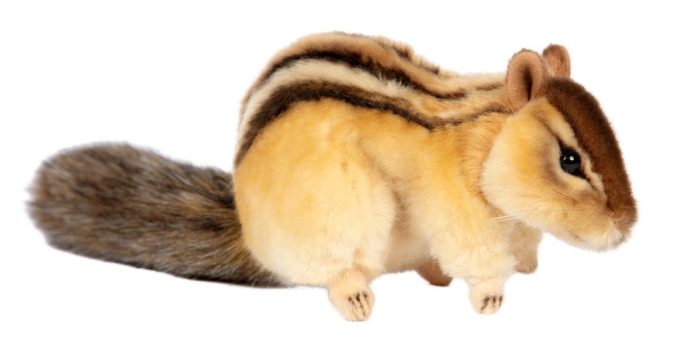 Chipmunk 25cmL