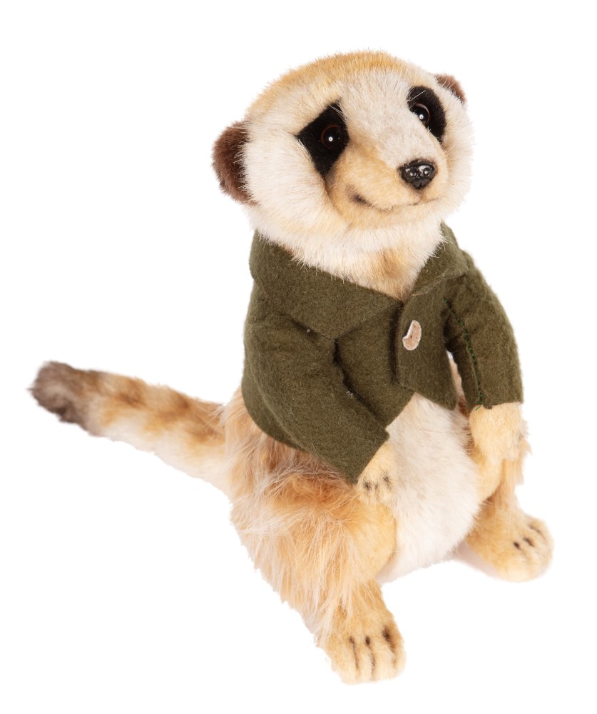 Meerkat Boy Green Shirt 22cmH (Accessories may vary)