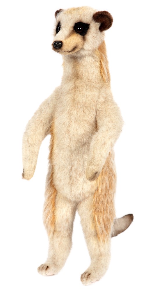 Meerkat 46cmH