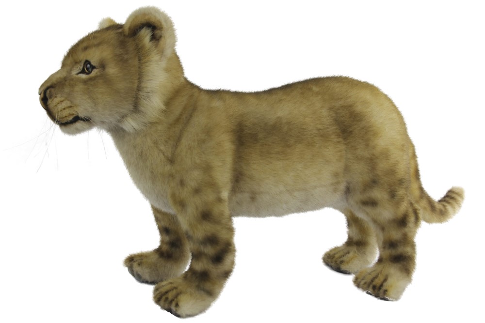 Lion Standing 70cmL