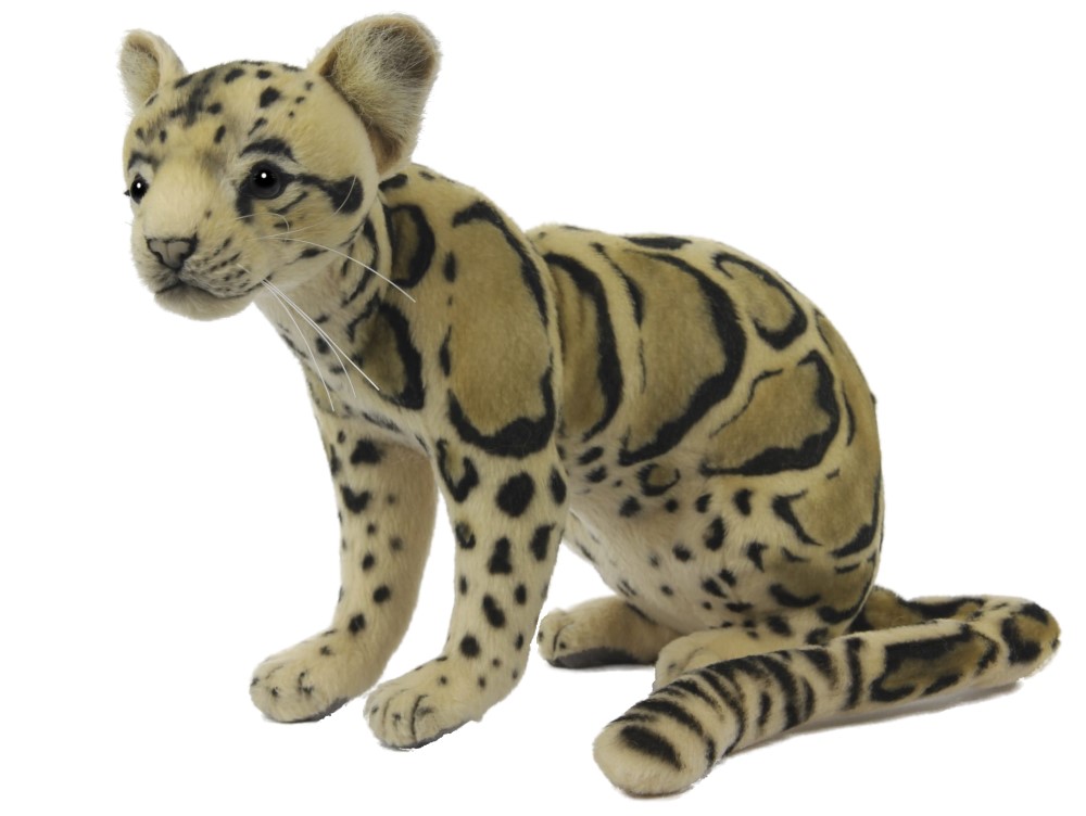 Clouded Leopard Sitting 29cmL