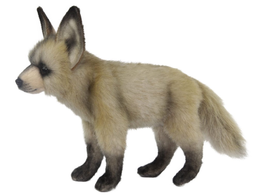 Bat Eared Fox 25cmL