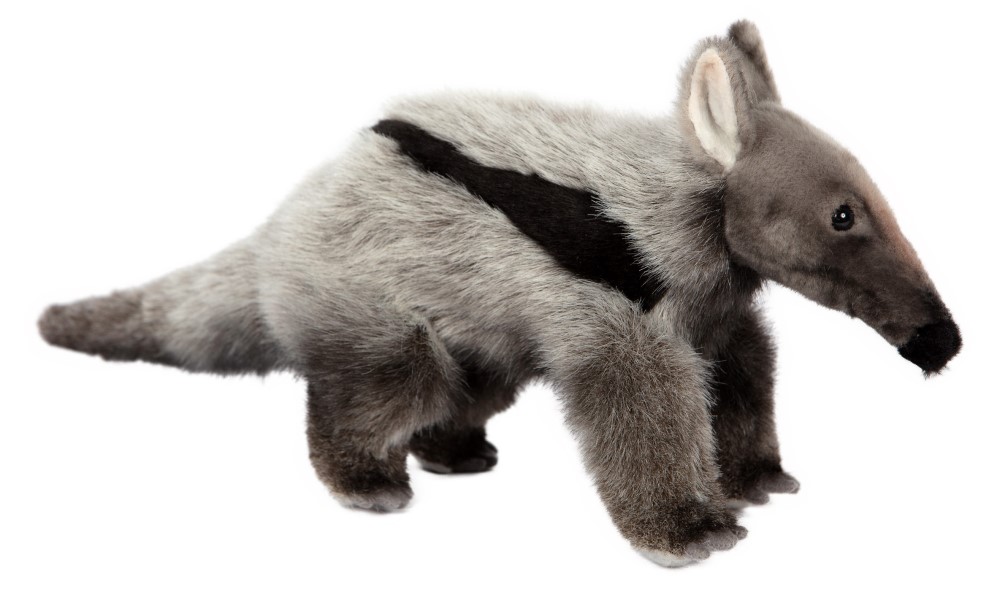 Giant Anteater 35cmL