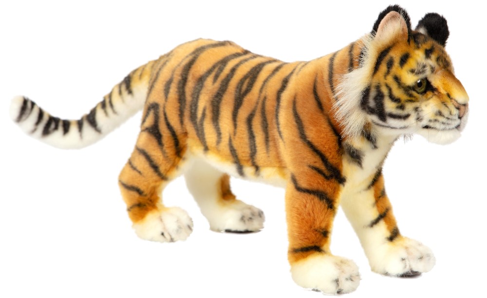 Tiger Amur 44cmL