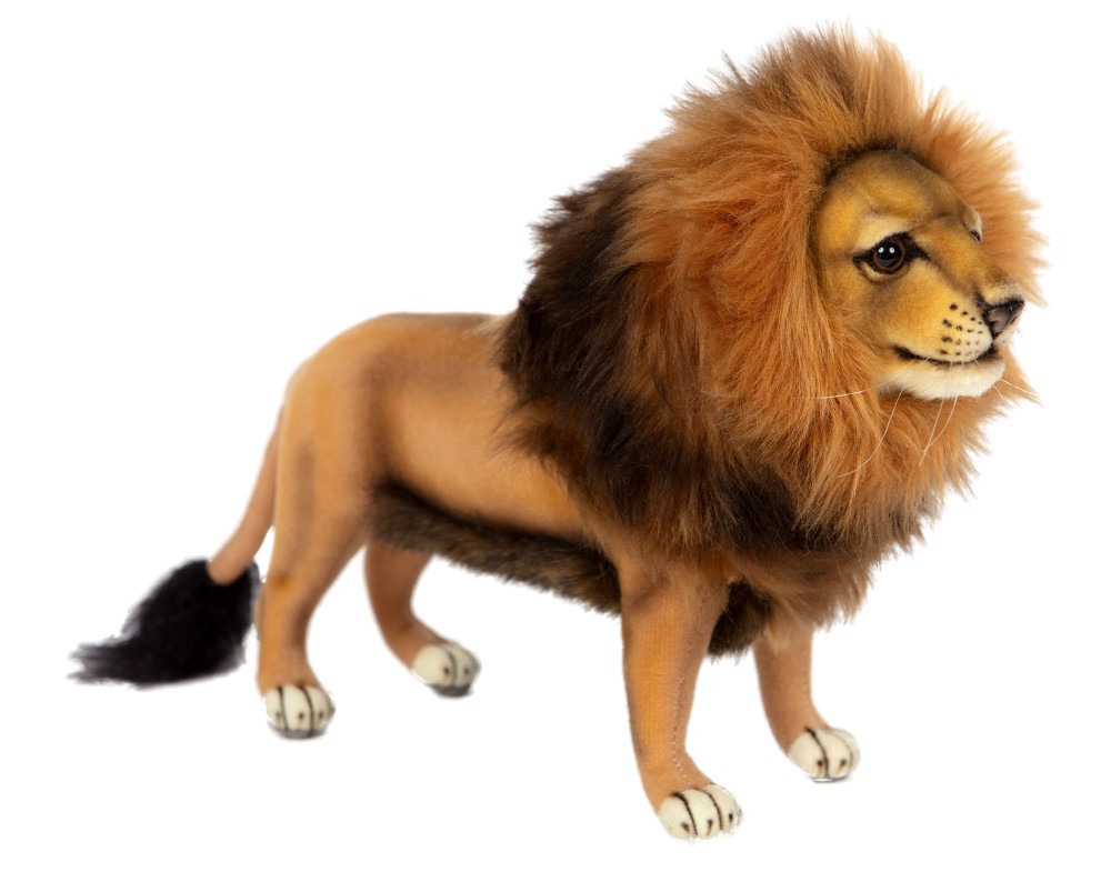 Lion Male 28cmL