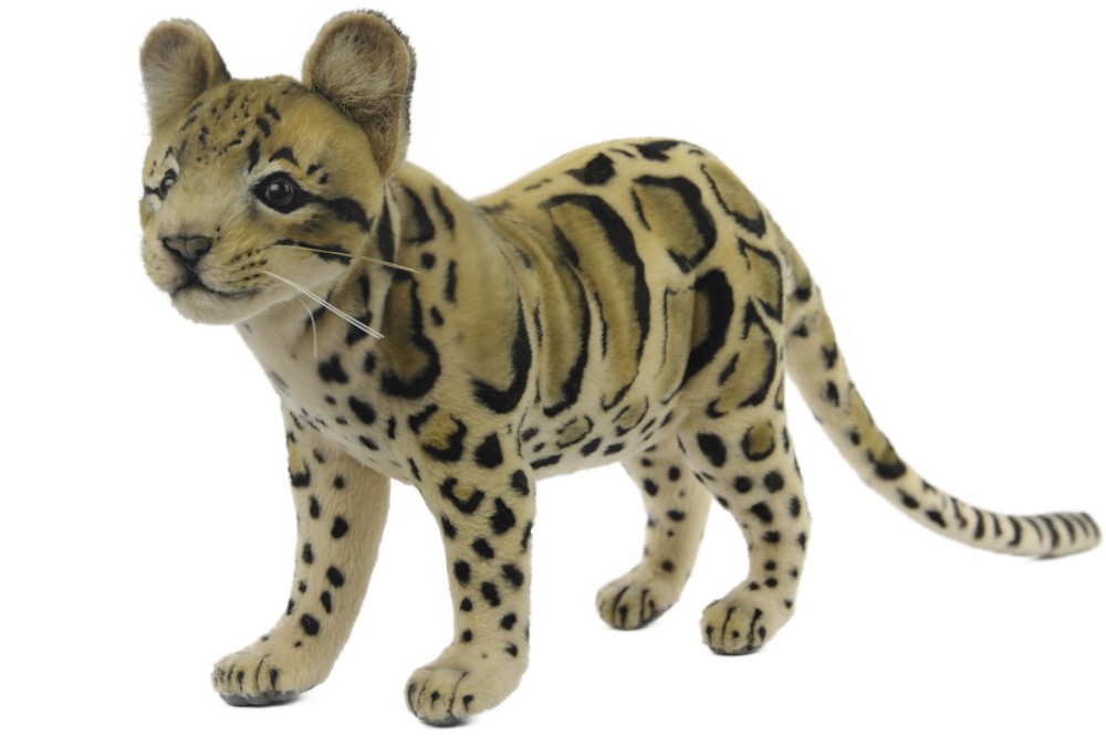 Clouded Leopard Standing 49cmL