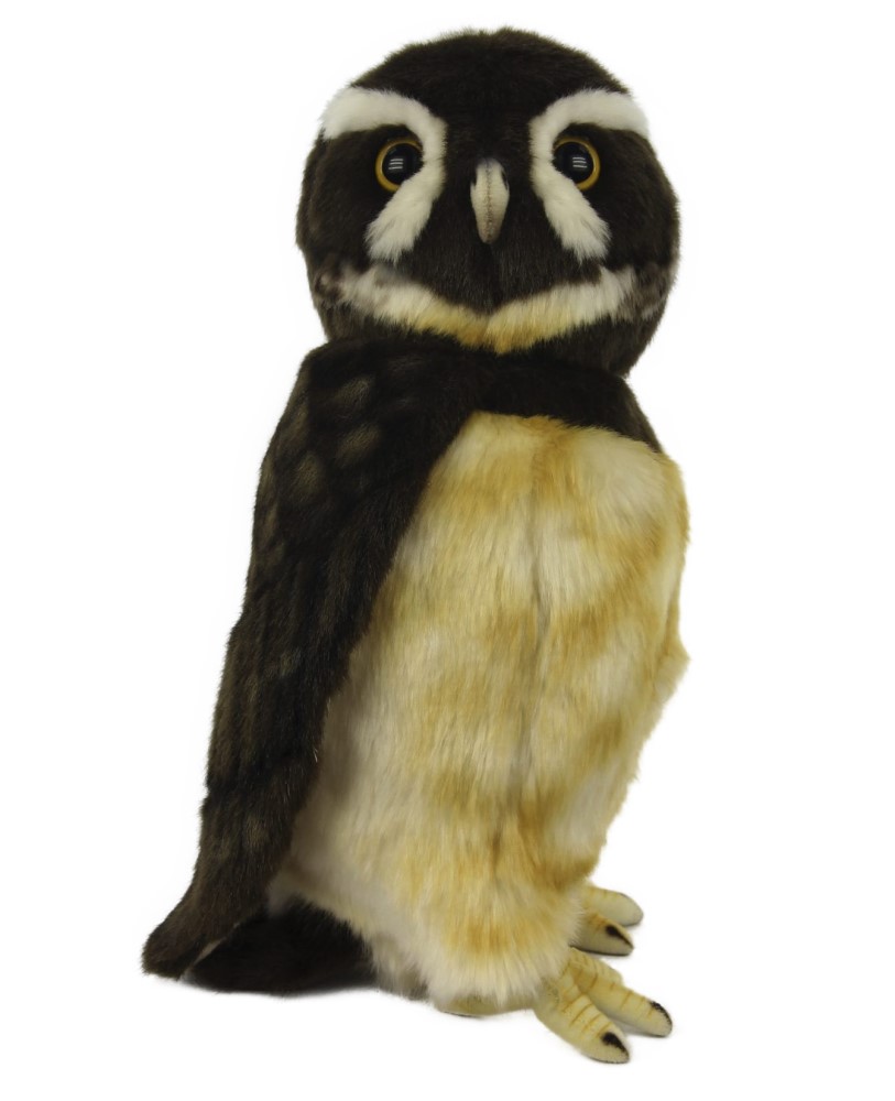 Spectacled Owl 28cmH