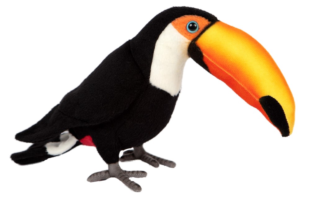 Toucan 22cmL