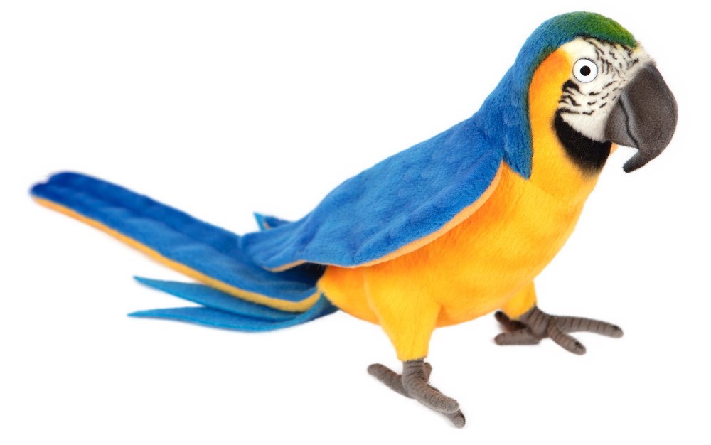 Macaw (Blue/Yellow) 40cmL