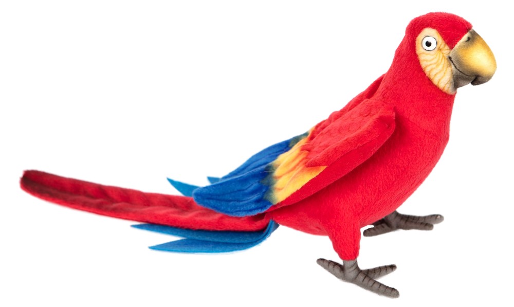 Scarlet Macaw 40cmL