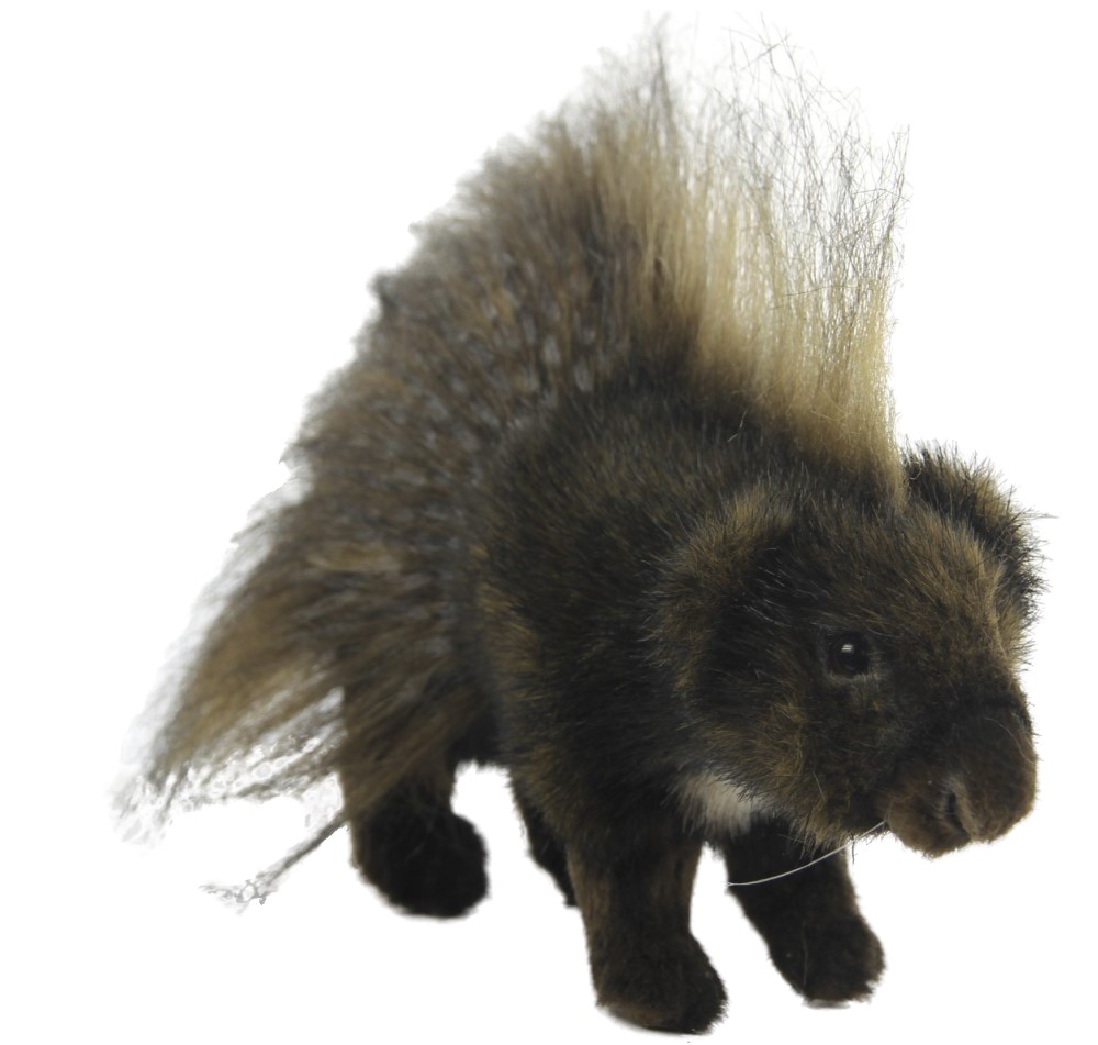 Porcupine 24cmL