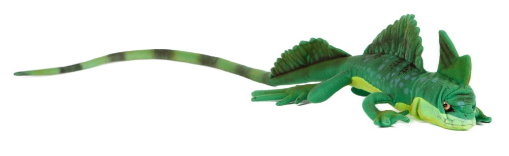 Green Basilisk 69cmL