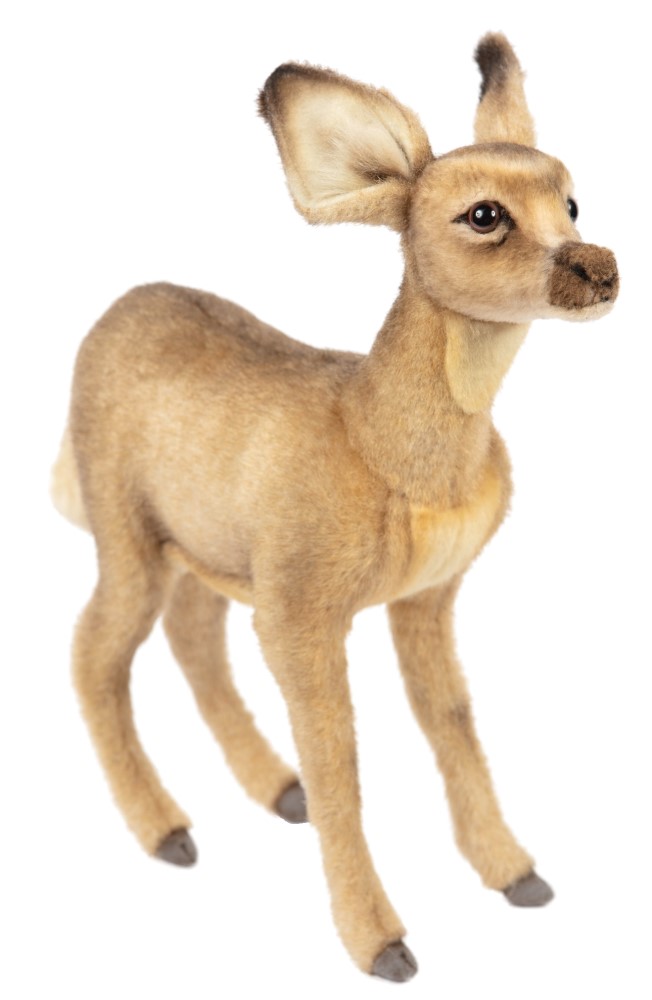 Fawn Standing 33cmH