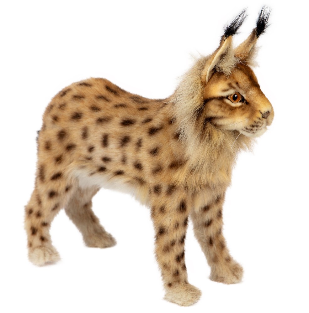 Euresian Lynx Standing 33cmL