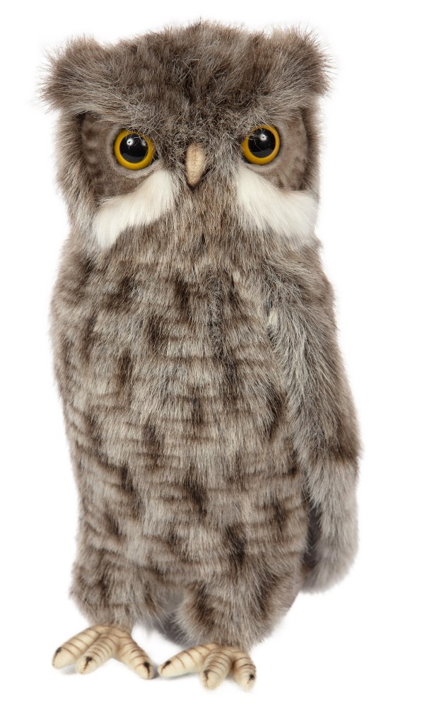 Screech Owl (Movable head) 31cmH