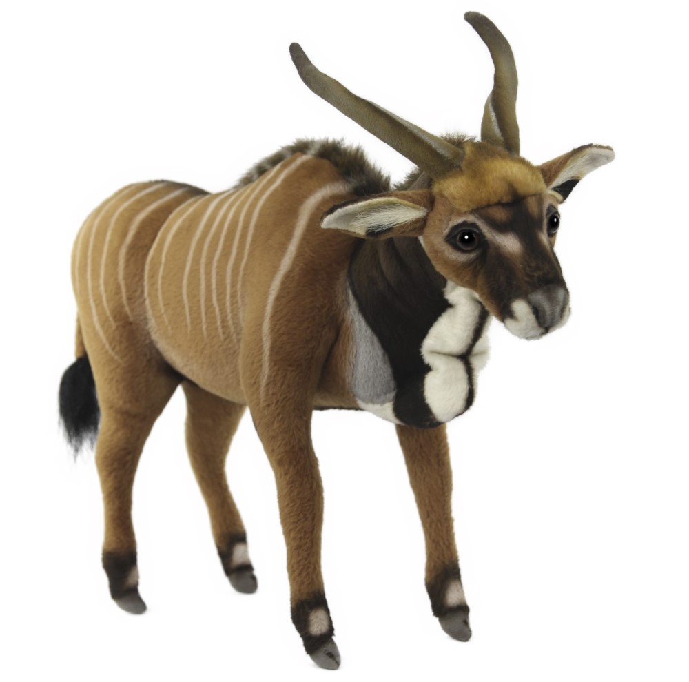 Western Giant Eland 38cmL