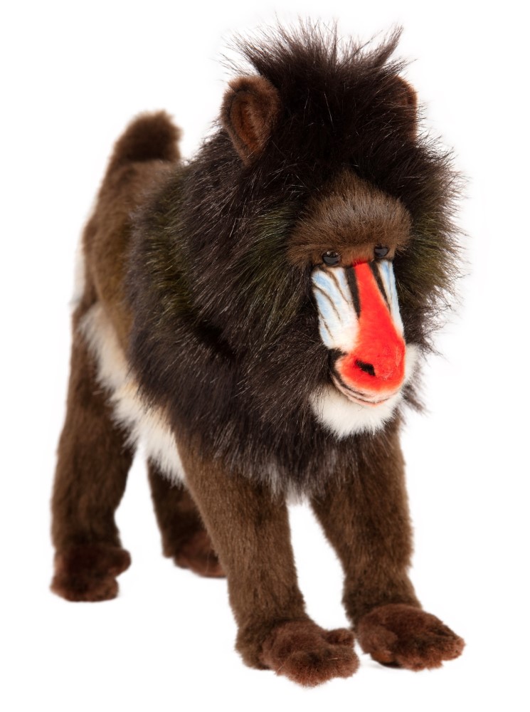 Mandrill 28cmH