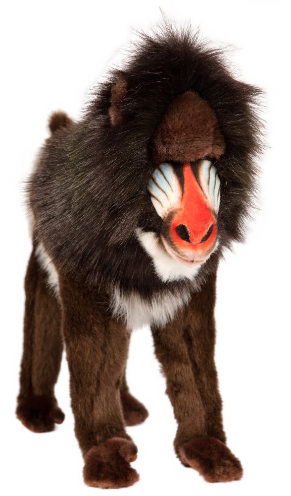Mandrill 38cmL