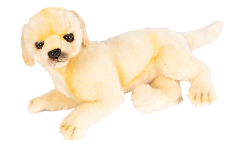 Golden Retriever 46cmL