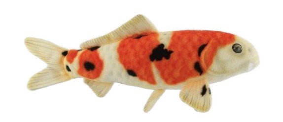 Sanke Koi 35cmL