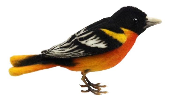 Baltimore Oriole 13cmL