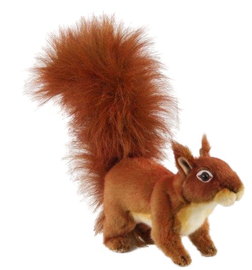 Red Squirrel Standing on 4 Legs 27cmL