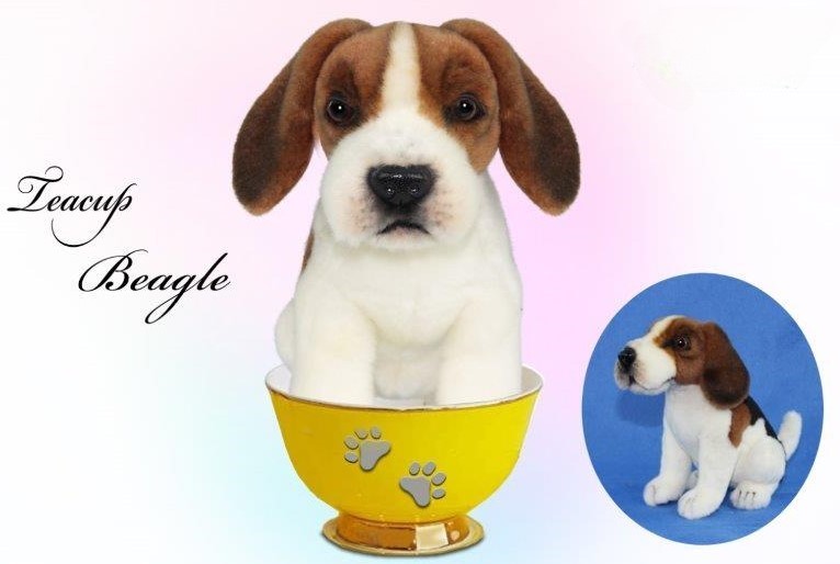 Beagle Tea Cup 15cmH