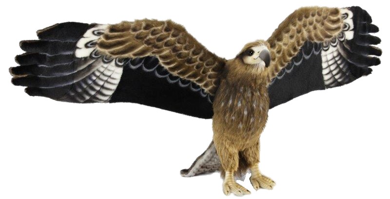 Black Kite 85cmW
