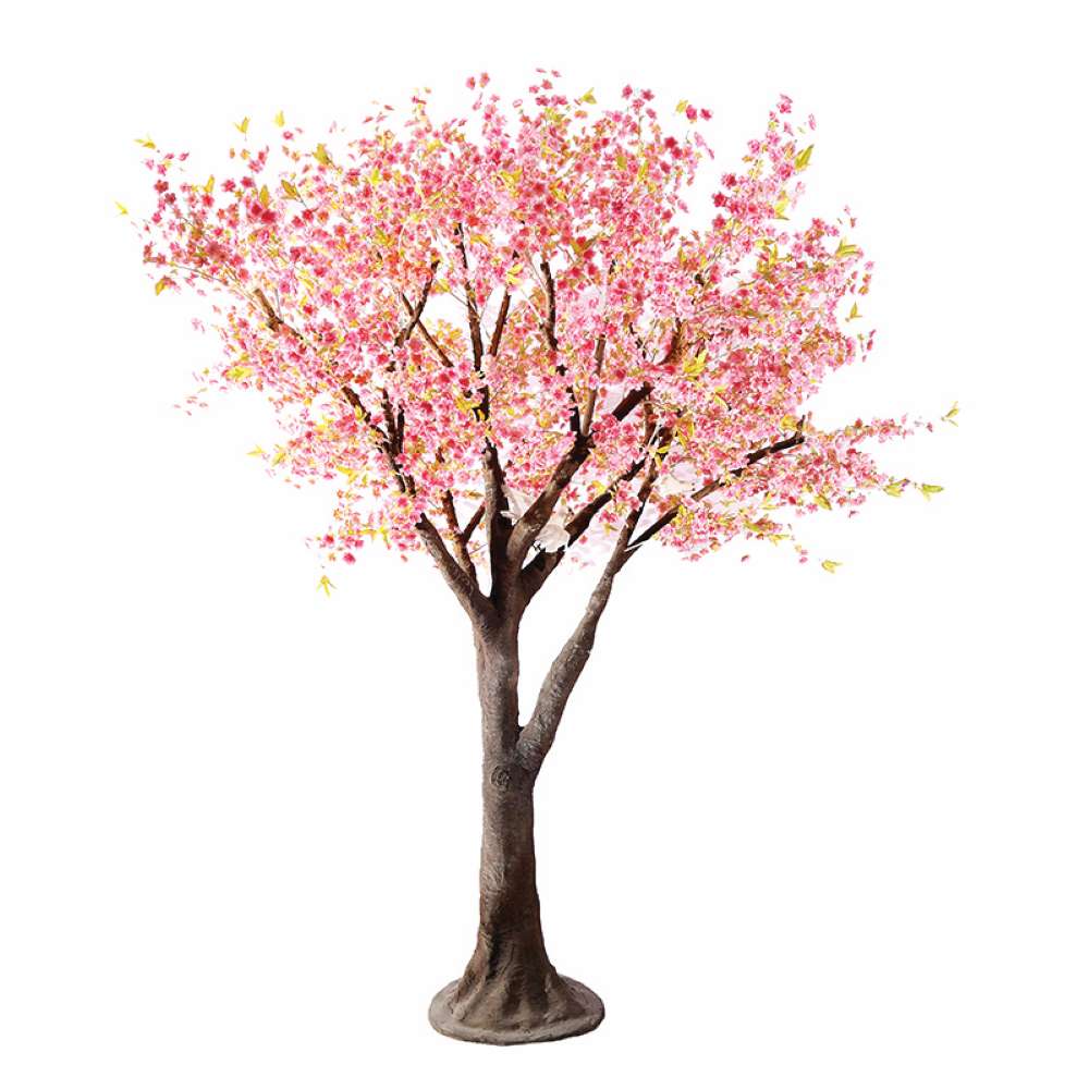 Cherry Blossom Tree