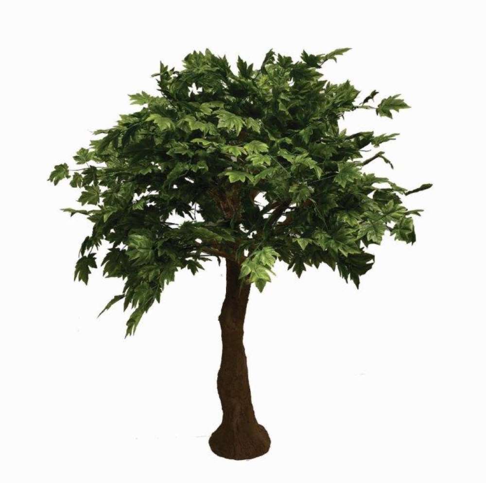 Buddha Tree