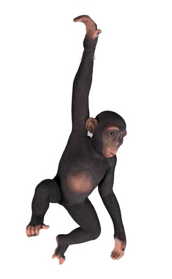 Life Size Fibreglass Resin Hanging Monkey Model Hamac Trading